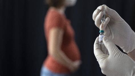 S­e­n­e­g­a­l­­d­e­ ­h­a­m­i­l­e­l­e­r­e­ ­a­ş­ı­ ­y­a­p­ı­l­a­c­a­k­
